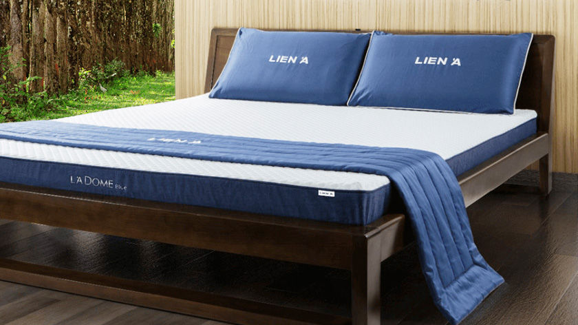 Nệm Liên Á rất được người tiêu dùng Việt Nam ưa thích.