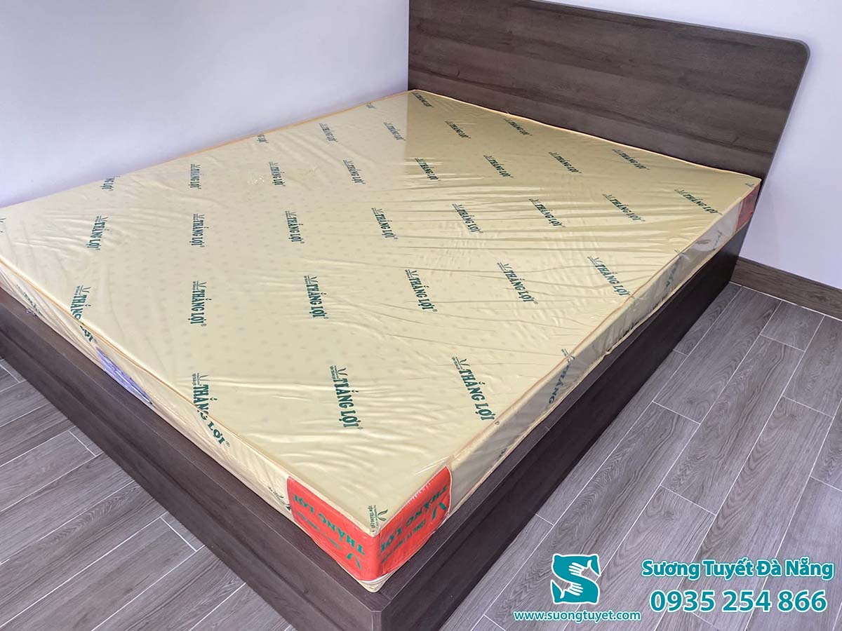 Bạn có thể lựa chọn độ dày nệm Thắng Lợi 10cm, 15cm, 20cm.