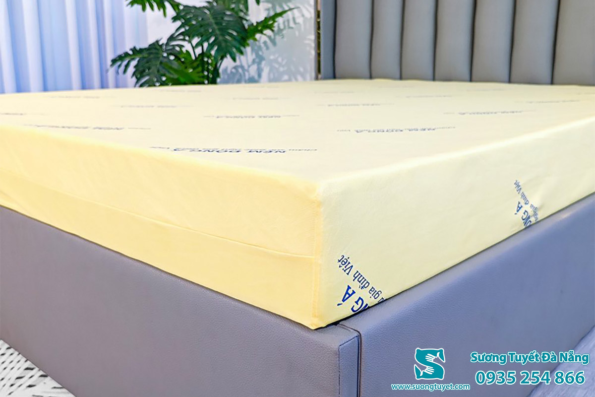 Hạn chế của nệm là không có viền như nhiều dòng tổng hợp nên kém đẹp hơn.