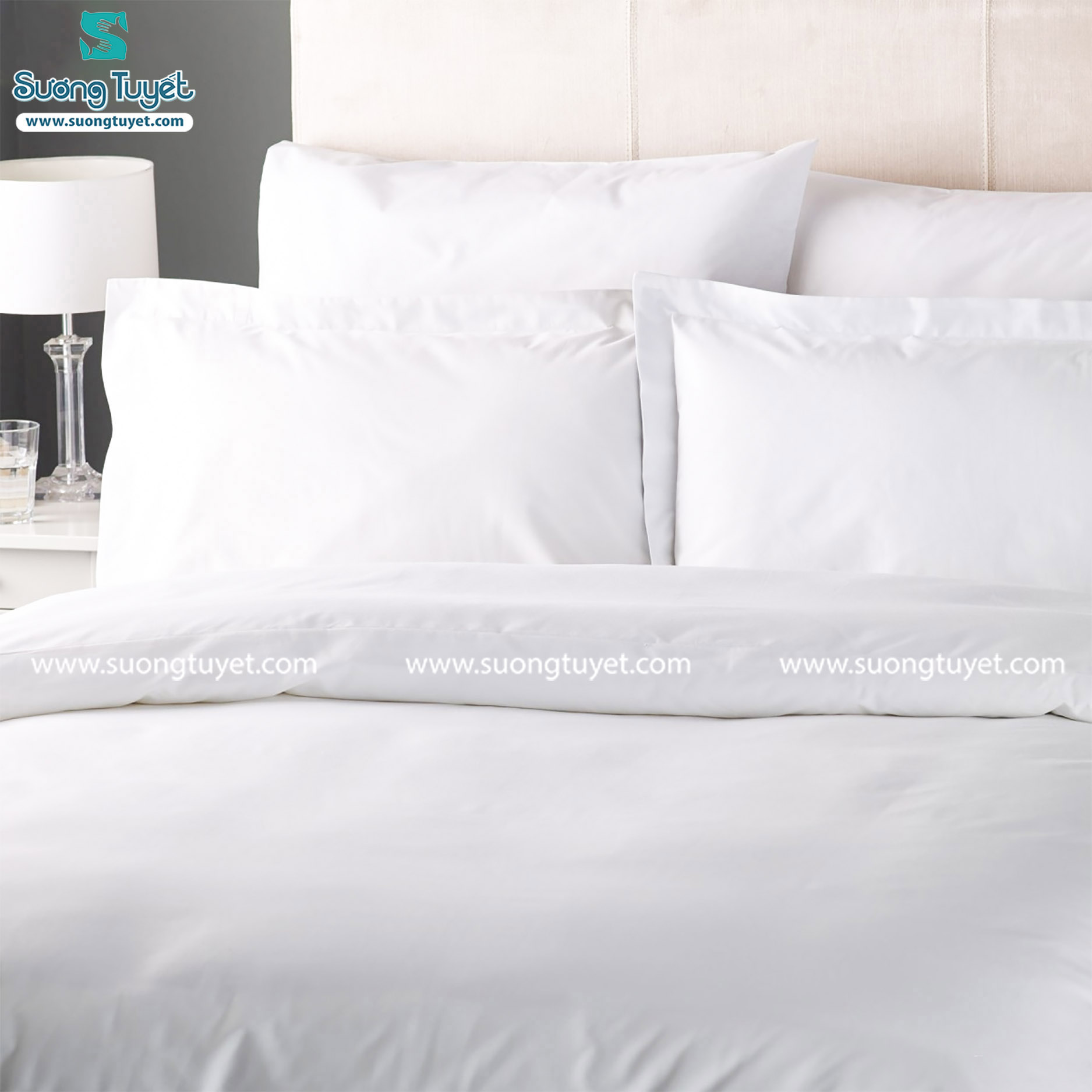 Cotton T300 dường như là mẫu vải phổ biến nhất cho khách sạn cao cấp