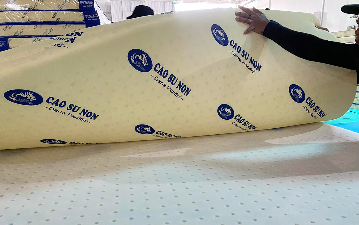 Còn nệm Dana Pacific thuộc phân khúc nệm bình dân cho nhà ở, nhà nghỉ.