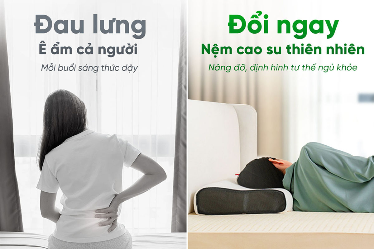 Ưu điểm chính của nệm Natural là dành cho người đau lưng, nâng đỡ và đàn hồi êm ái.