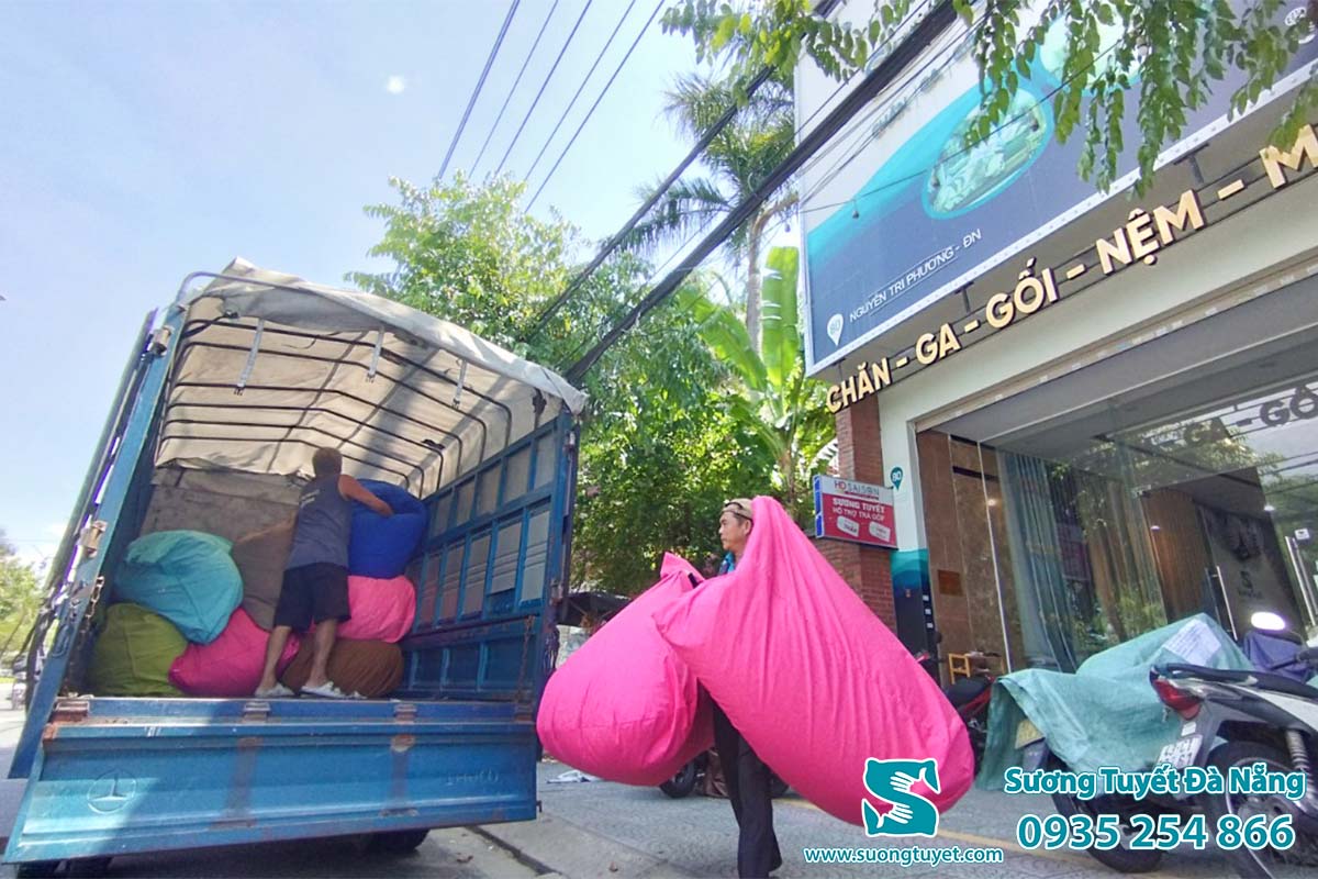 Ngoài ra còn có dịch vụ cho thuê ghế lười.