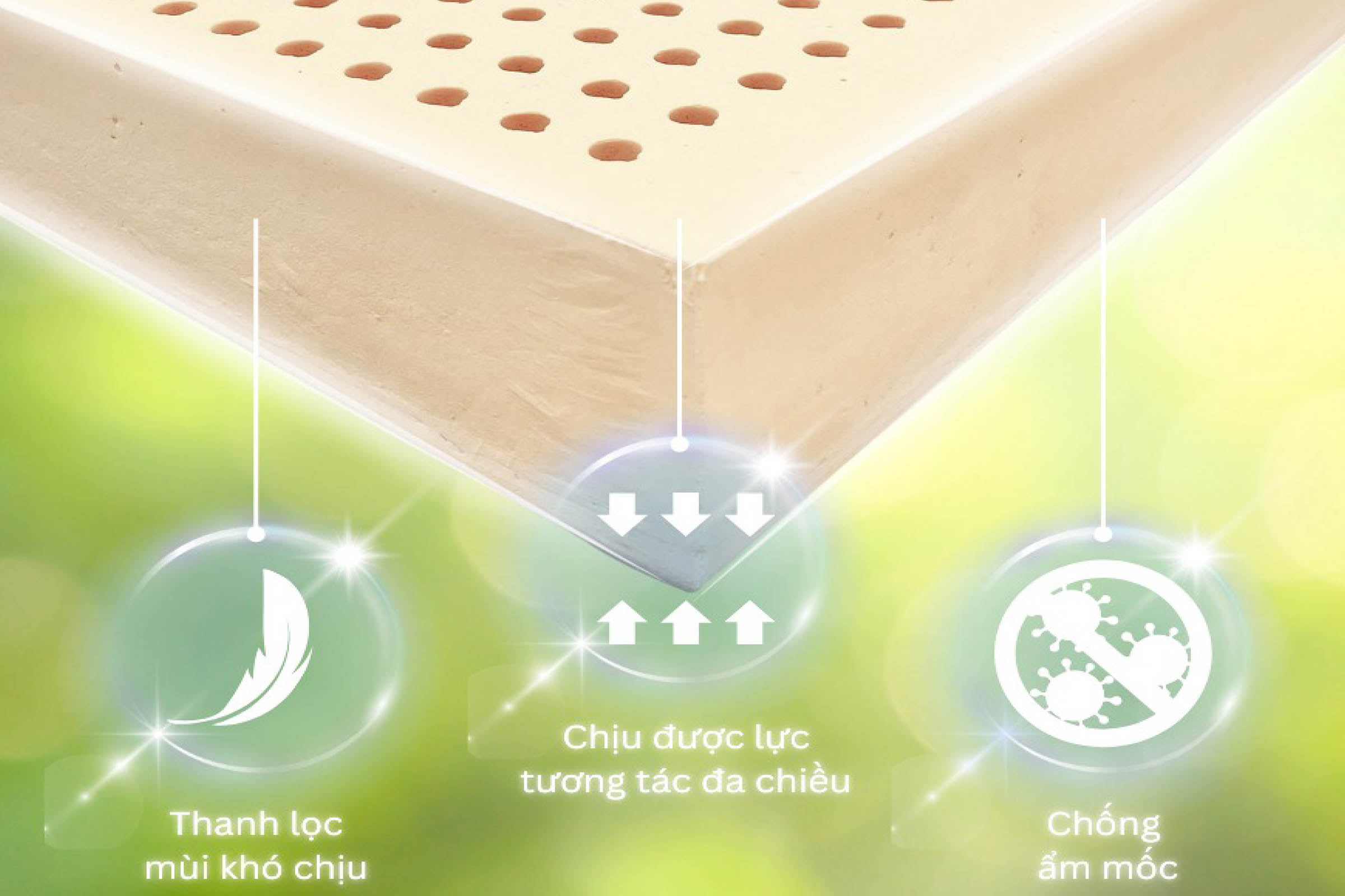Hãy lựa chọn tấm nệm từ thiên nhiên để được bảo vệ cho mỗi đêm với mức giá vài triệu.