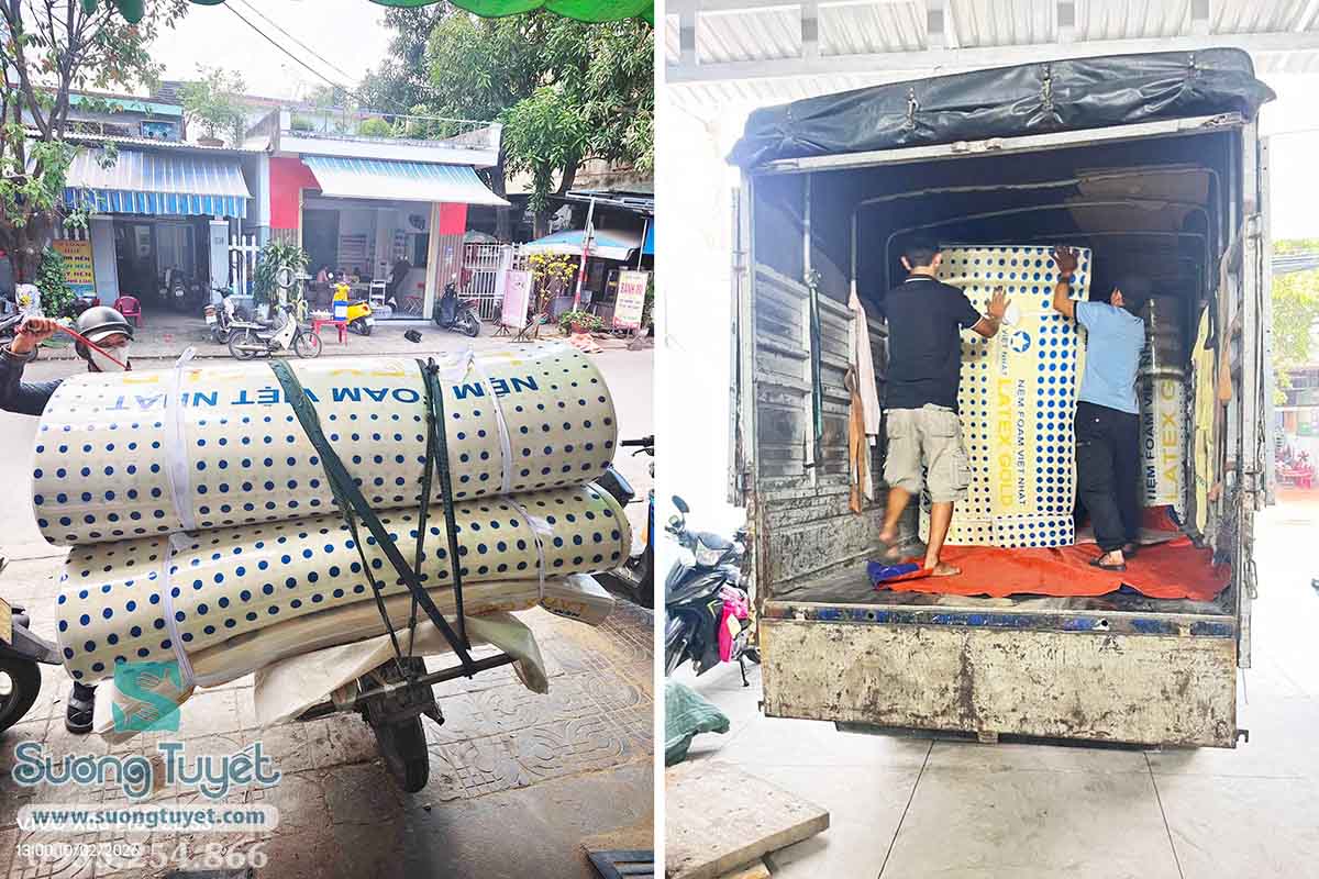 Free ship tận nơi, đổi trả sau 20 ngày.