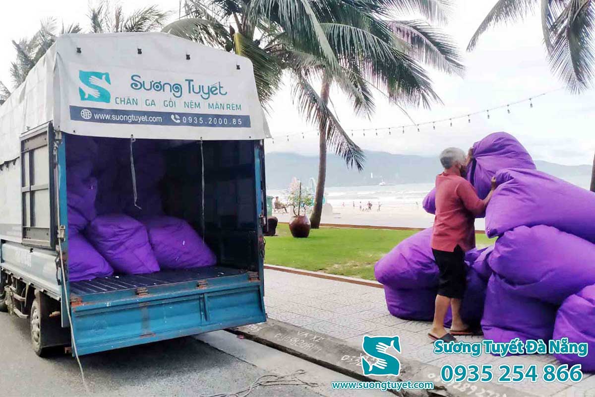 Sương Tuyết cung cấp ghế lười bãi biển toàn quốc.