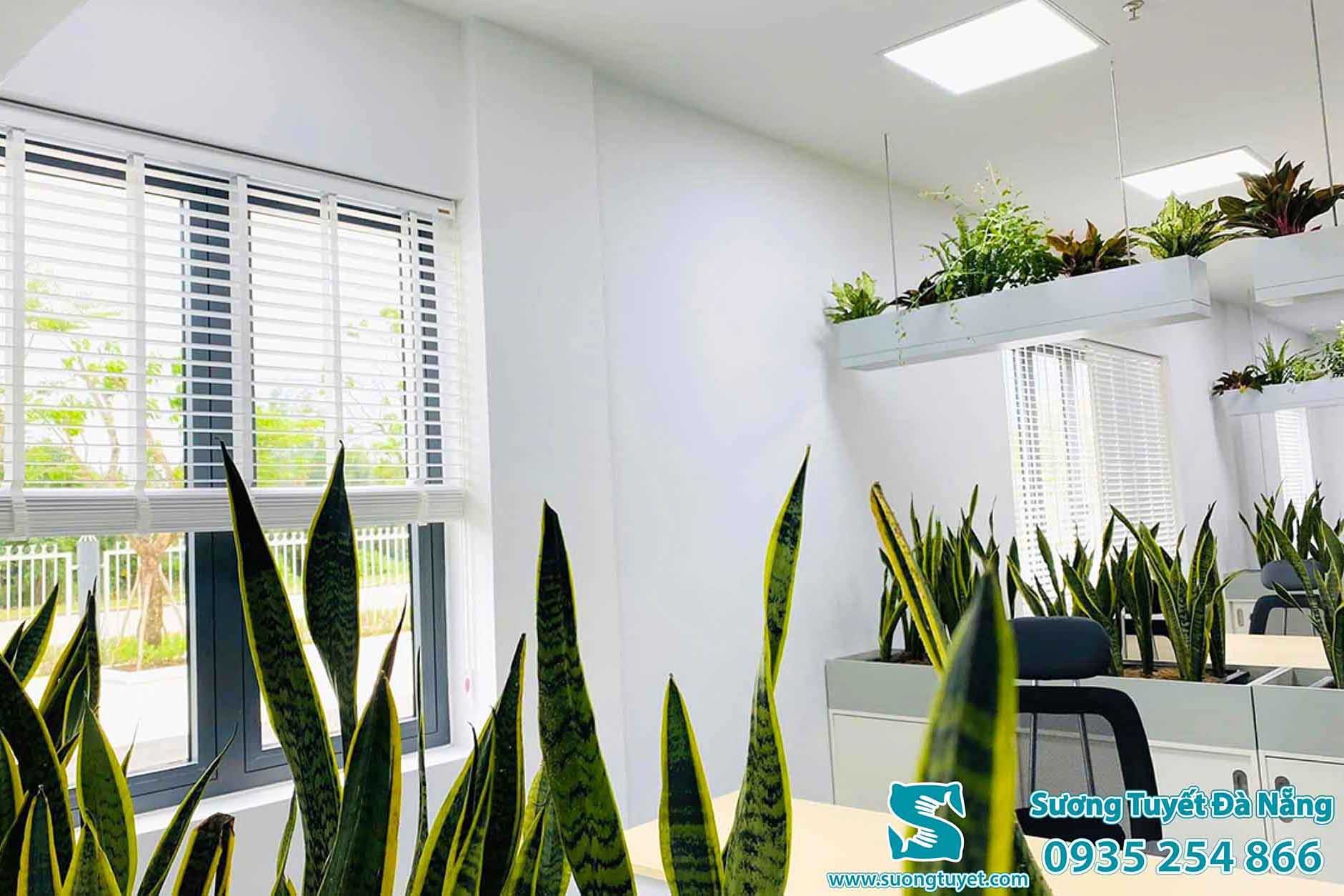 Lắp cửa sổ nhà hàng để tạo không gian sang trọng.