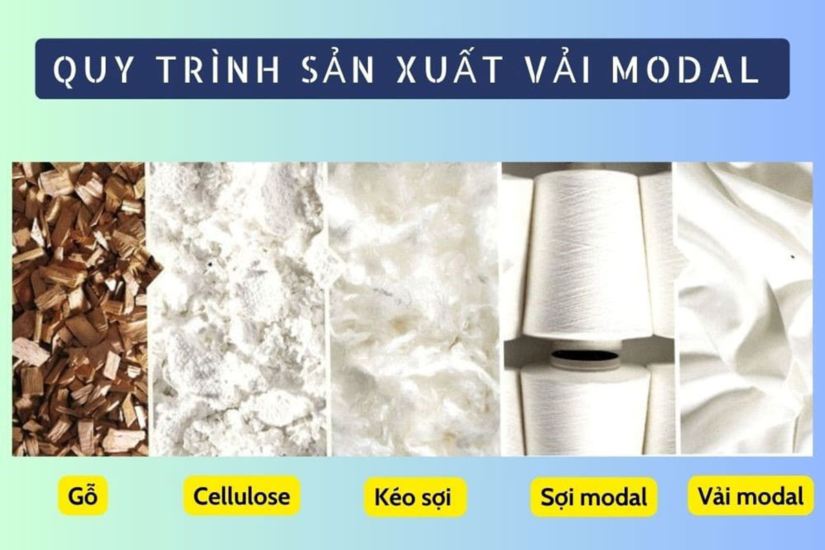 Sợi vải cotton Modal có nguồn gốc từ gỗ cây tự nhiên và cotton.