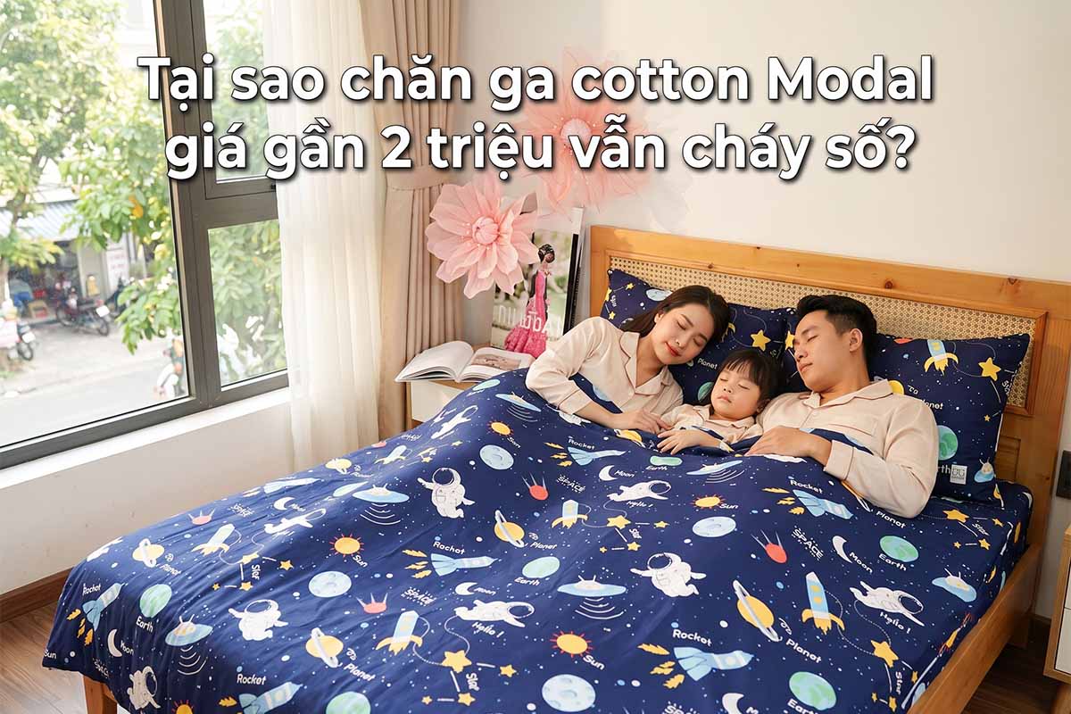 Chăn ga cotton modal đang được săn lùng vào mùa hè.