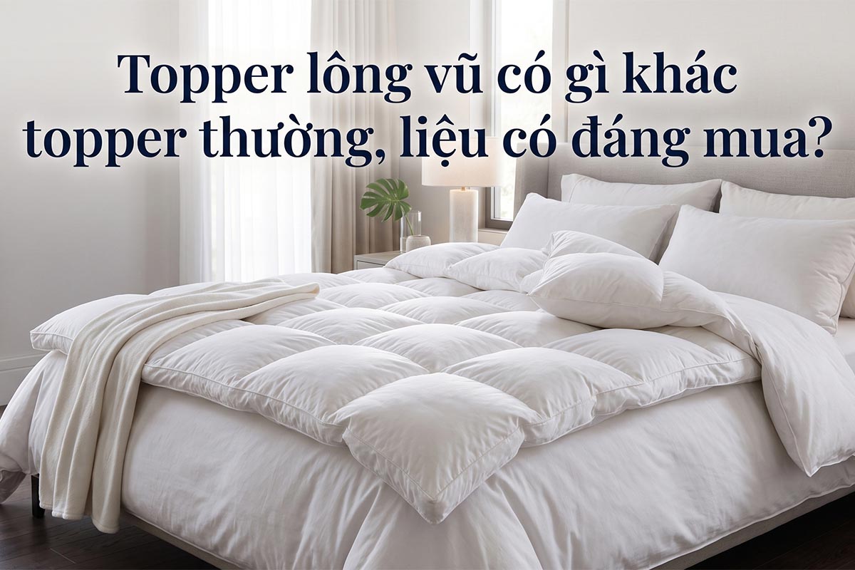Topper lông vũ có giá cao nhất hiện nay và rất hiệu quả.