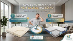 Bị Đau Lưng Nên Nằm Nệm Cao Su Hay Lò Xo? Lời Khuyên Từ Thợ Lâu Năm