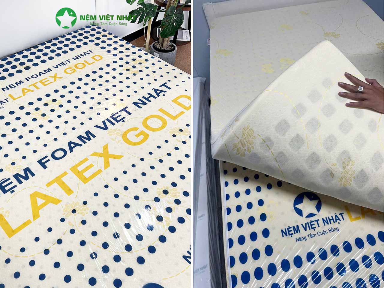 Nệm latex gold được mô phỏng giống cao su thiên nhiên.