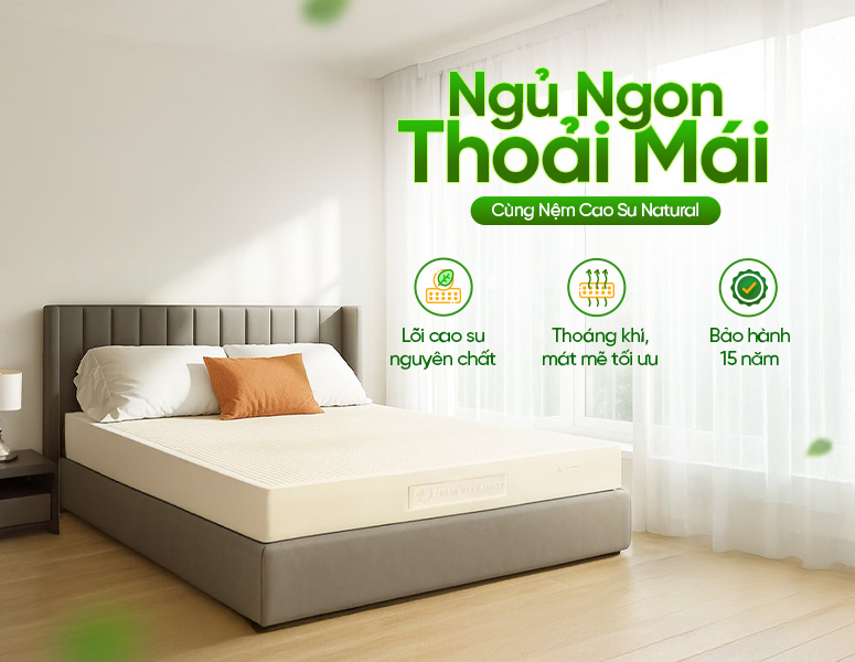 Hãy tham khảo nệm Việt Nhật để cân nhắc về tấm nệm giá rẻ bền chắc và an toàn.