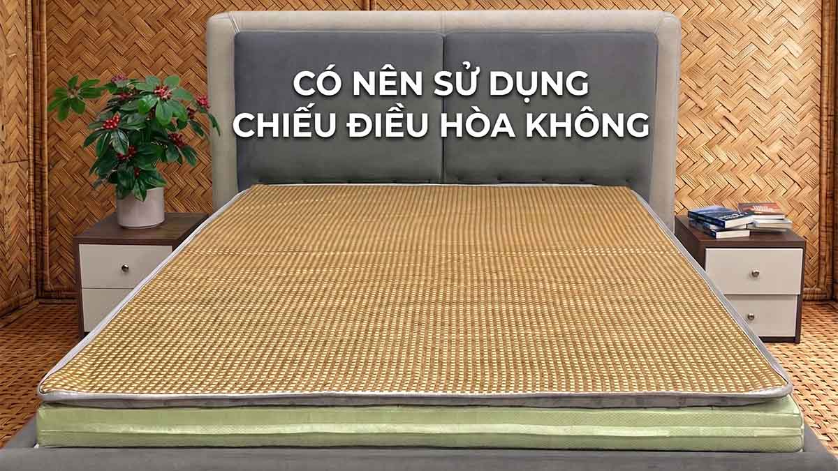 Có Nên Sử Dụng Chiếu Điều Hòa Không?. Nên Dùng Loại Nào?