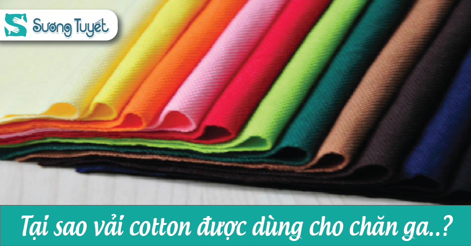 Tại sao vải cotton thường được dùng cho chăn ga??
