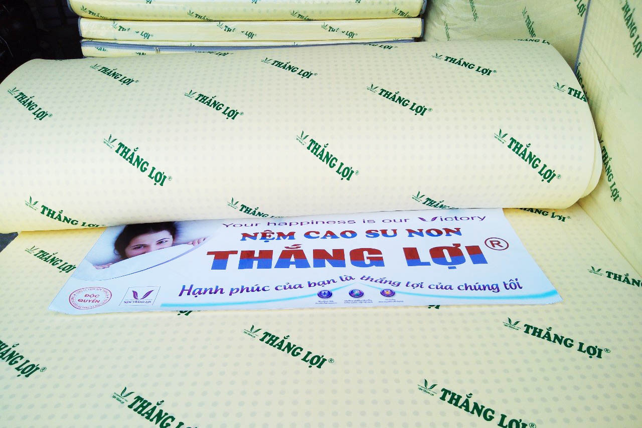 Nệm cao su non Thắng Lợi có thể được tìm thấy bất cứ đâu.