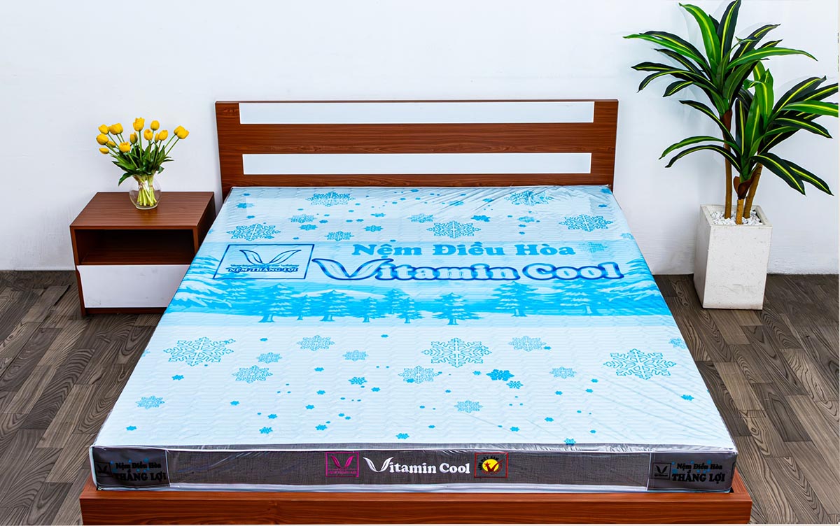 Nệm cao su Thắng Lợi Vitamin Cool.
