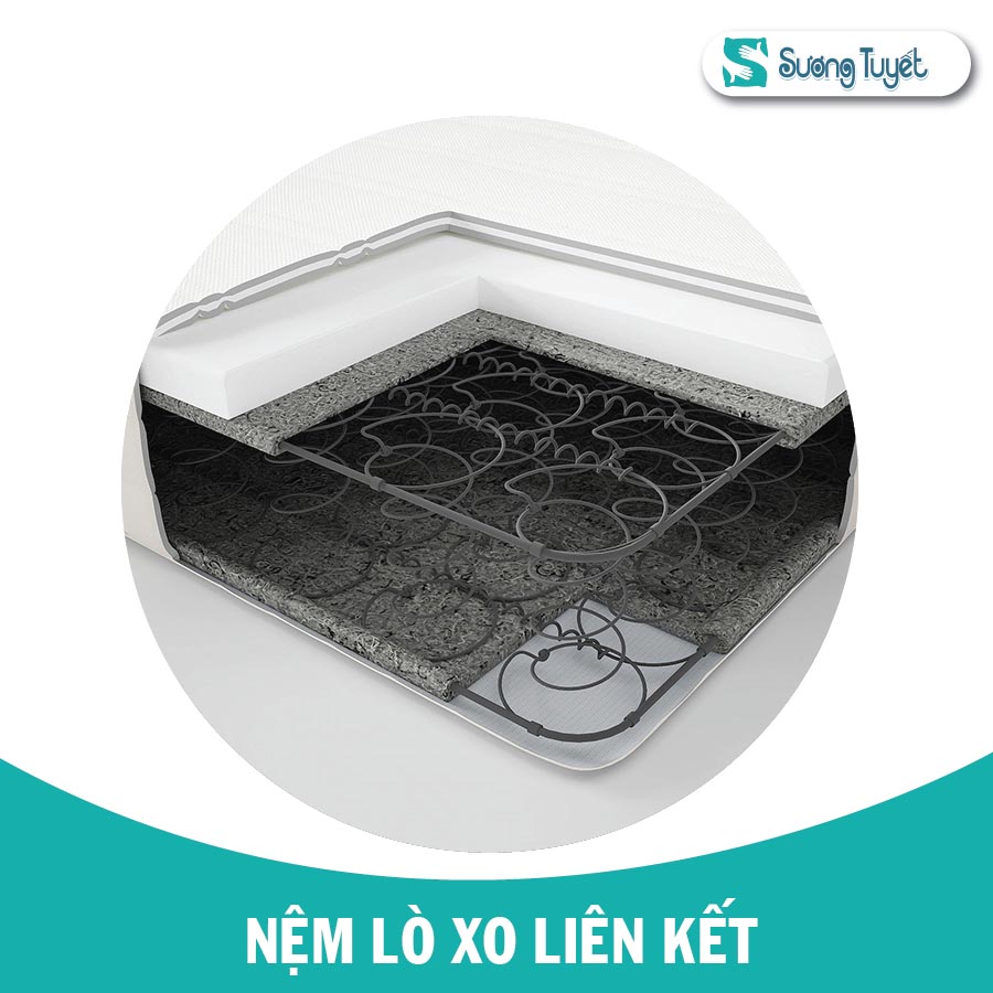 Phân biệt nệm lò xo liên kết và lò xo túi