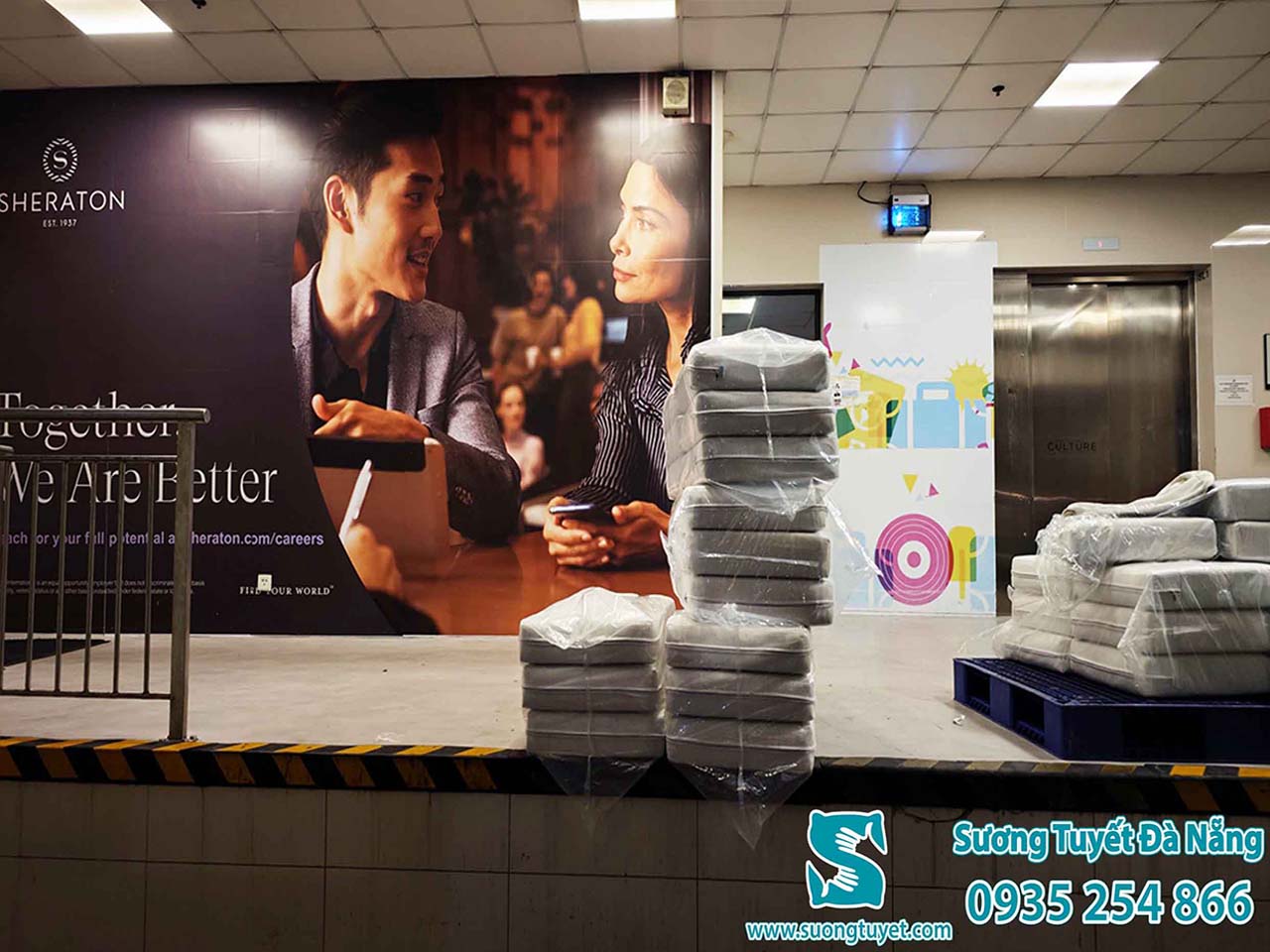 Cung cấp bộ nệm ghế cao cấp khách sạn Sheraton.