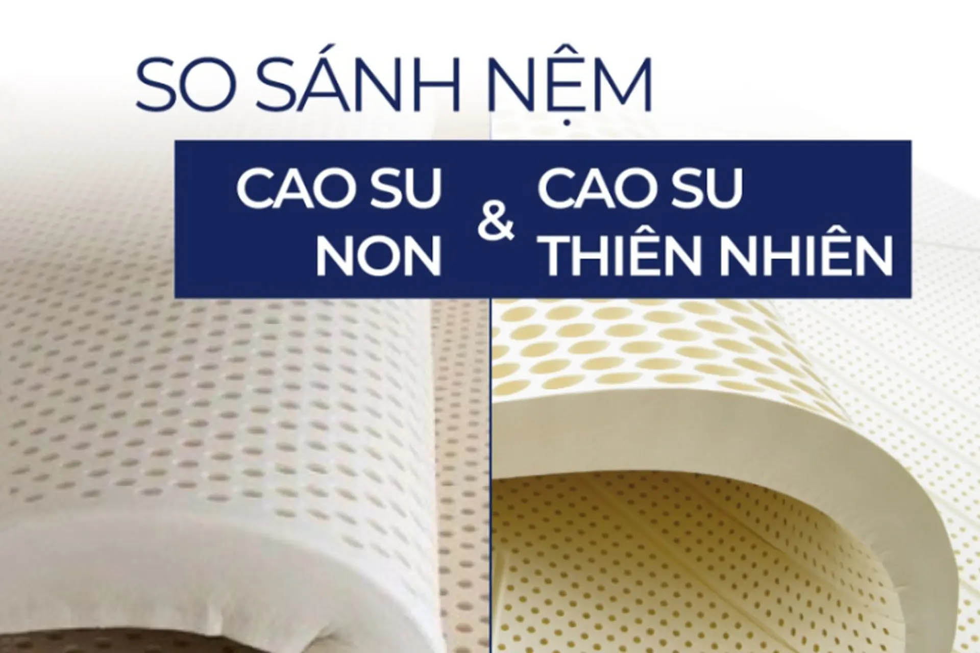 Câu hỏi so sánh giữa 2 dòng nệm trên sẽ được giải đáp.