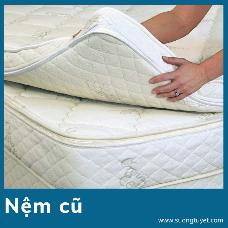 Không nên mua nệm quá cũ, xuống cấp mà không được vệ sinh.