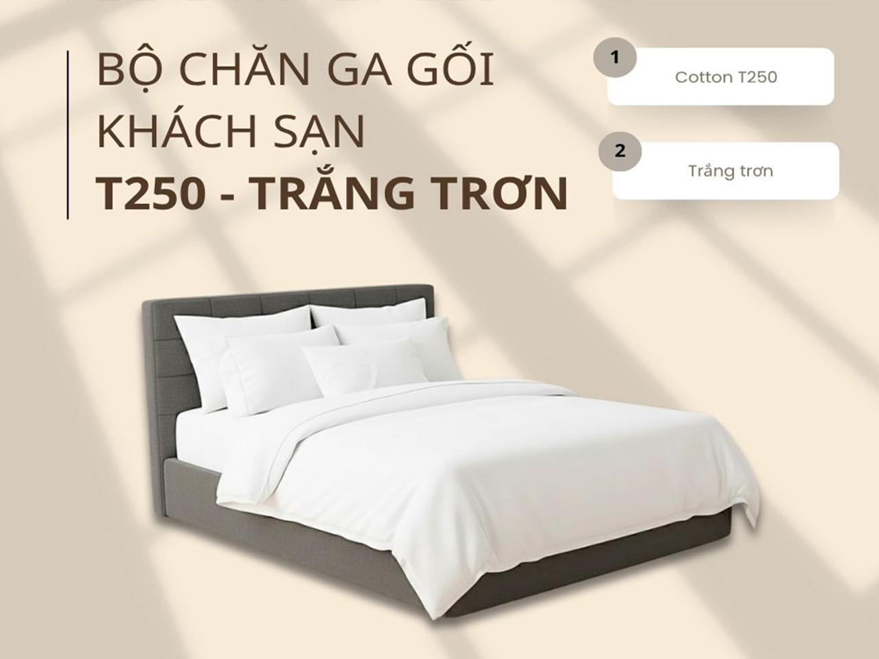 T250 là bản nâng cấp được dùng phổ biến nhất hiện nay.