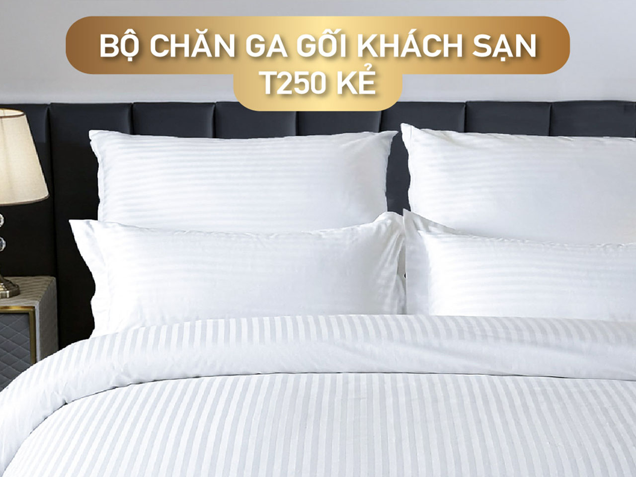 Bộ chăn ga T250 có 2 phân khúc là trắng trơn và trắng sọc.