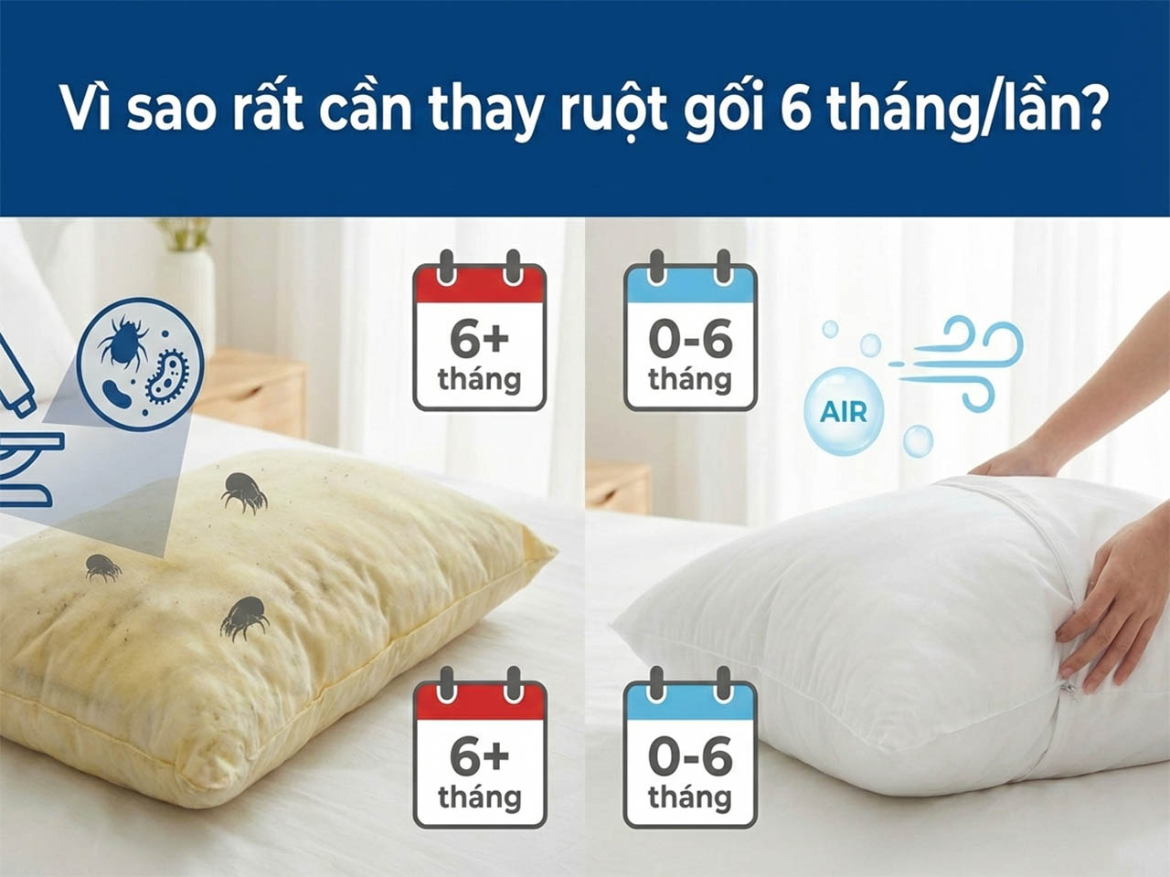 Đừng sử dụng ruột gối lại quá lâu nếu không muốn rước họa vào người.