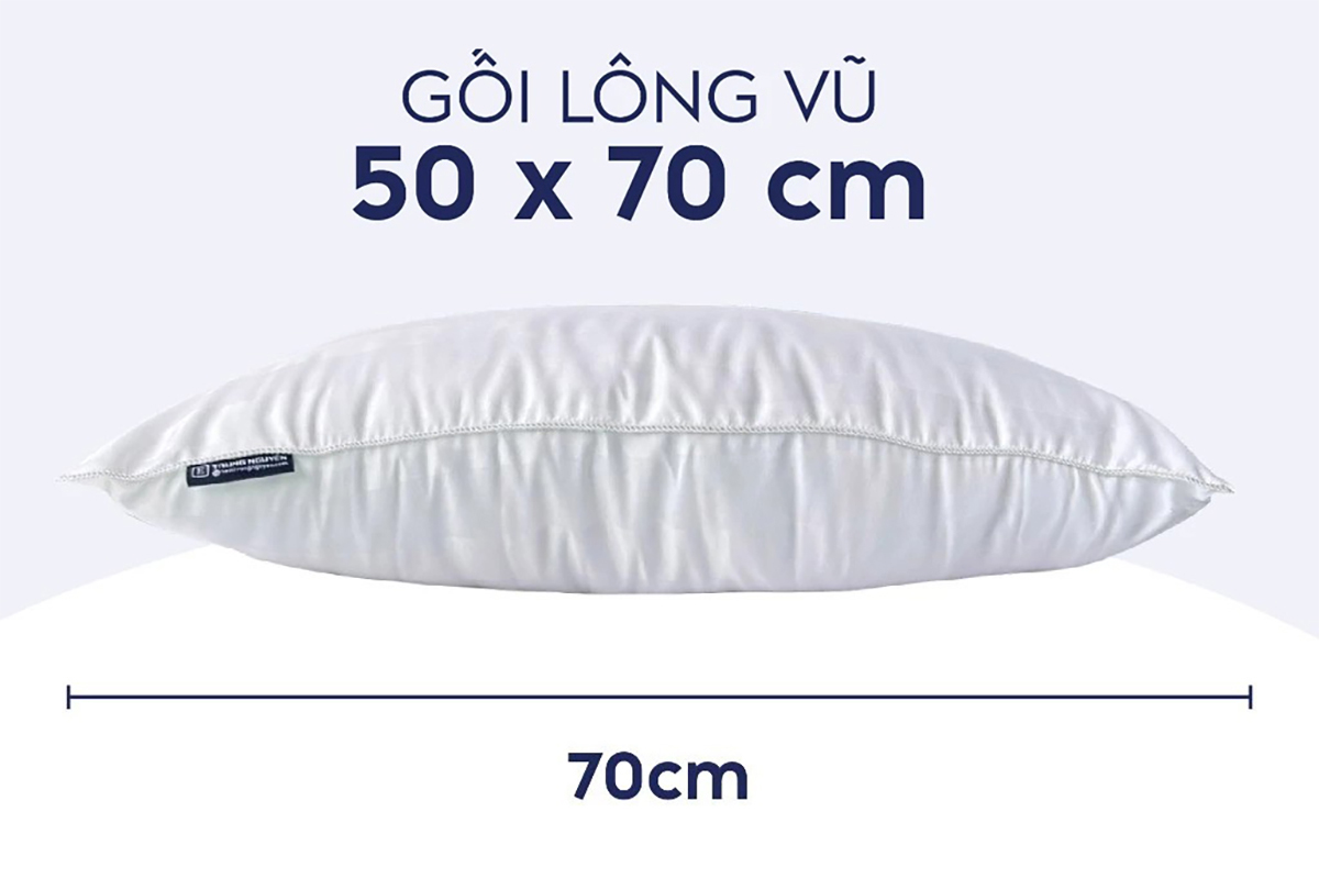 Gối lông vũ 50-70 là tiêu chuẩn nhất hiện nay.