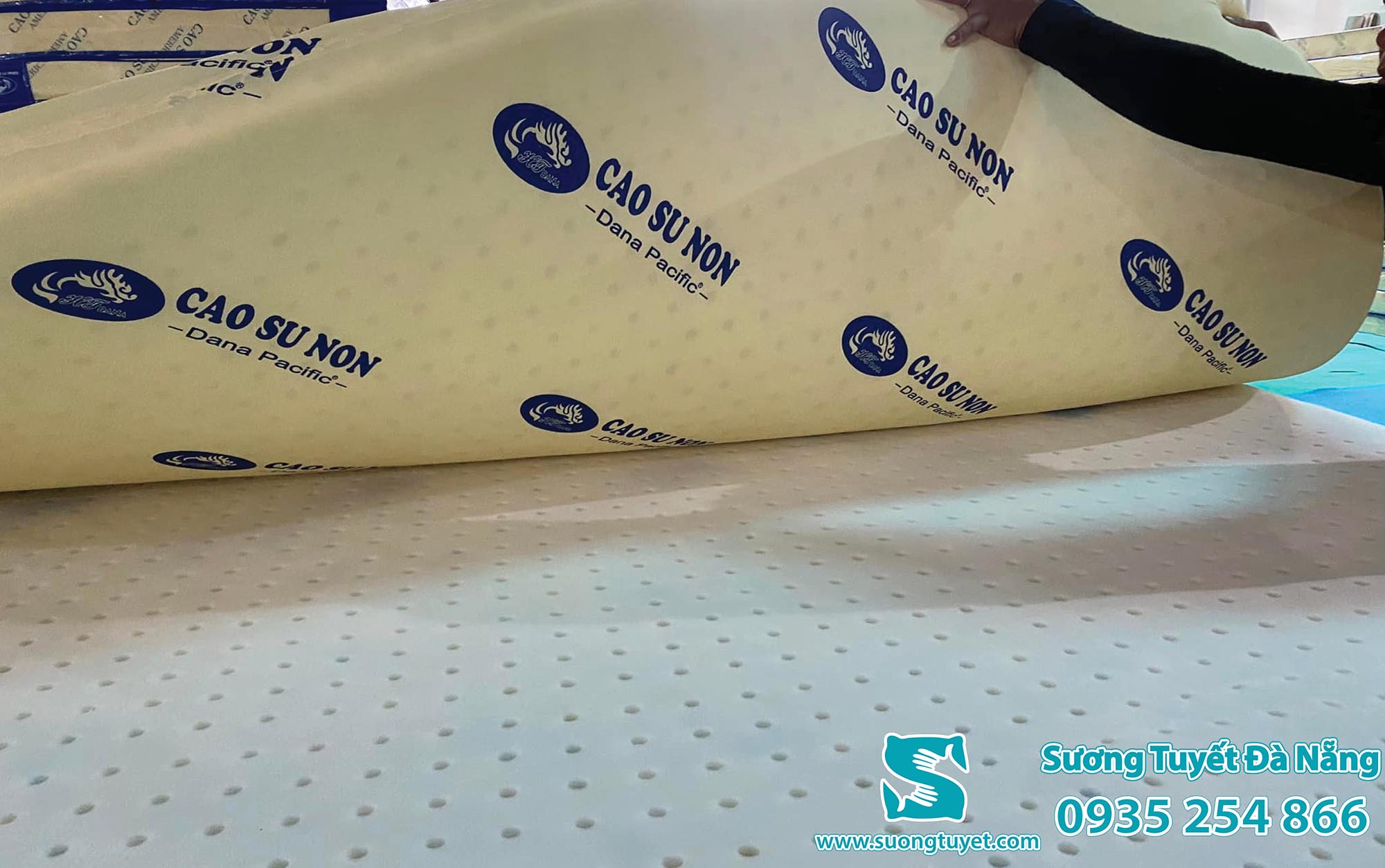 Nệm cao su non Dana Pacific cận cảnh.