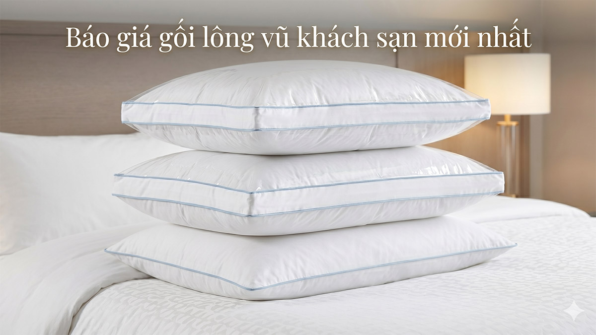 Bảng Giá Gối Lông Vũ Khách Sạn Mới Nhất Năm 2026 - Chỉ Từ 1xx