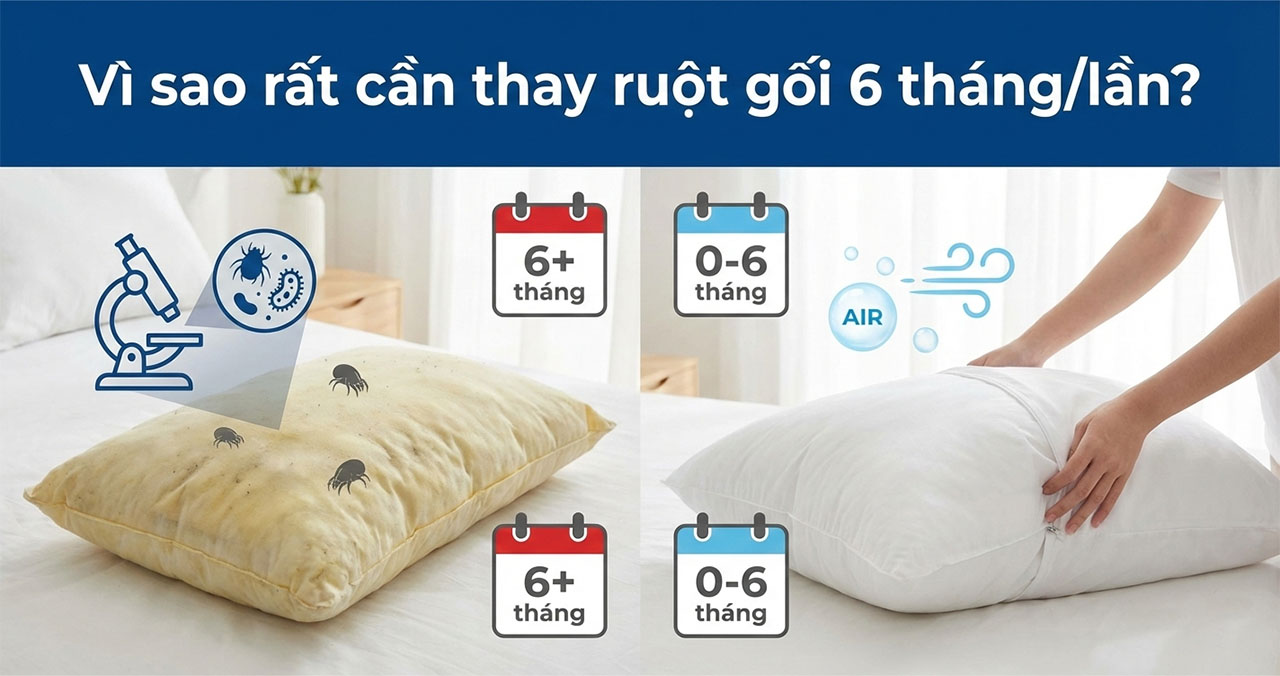 Vì Sao Nên Thay Ruột Gối 6 Tháng 1 Lần? Tác Hại Của Việc Dùng Ruột Gối Cũ