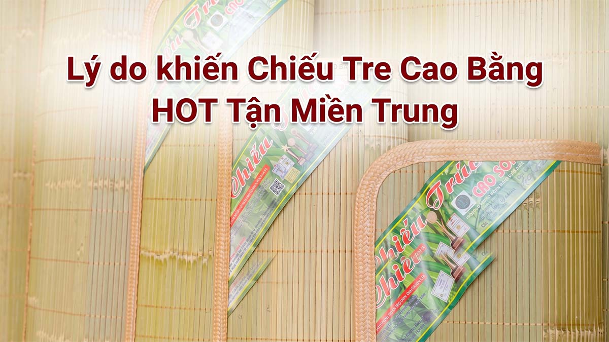 Chiếu Cao Bằng Có Tốt Không? So Sánh Chiếu Cao Bằng Và Tây Bắc