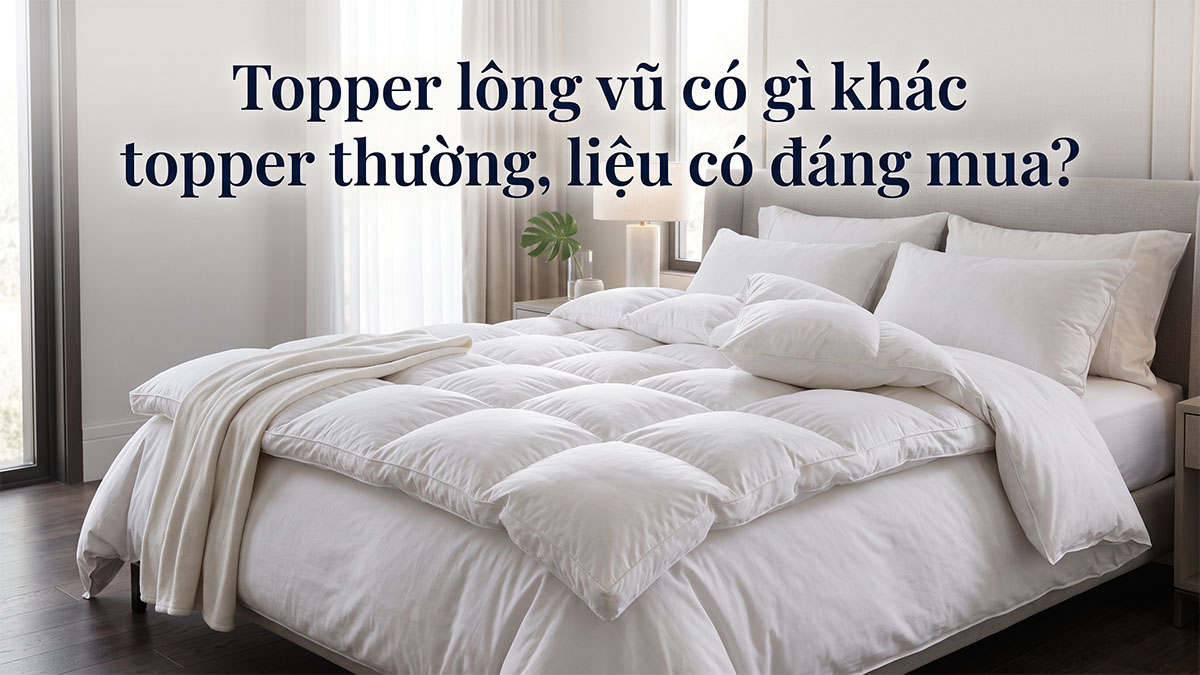 Topper Lông Vũ Có Gì Hơn Topper Thường, Liệu Có Đáng Mua?