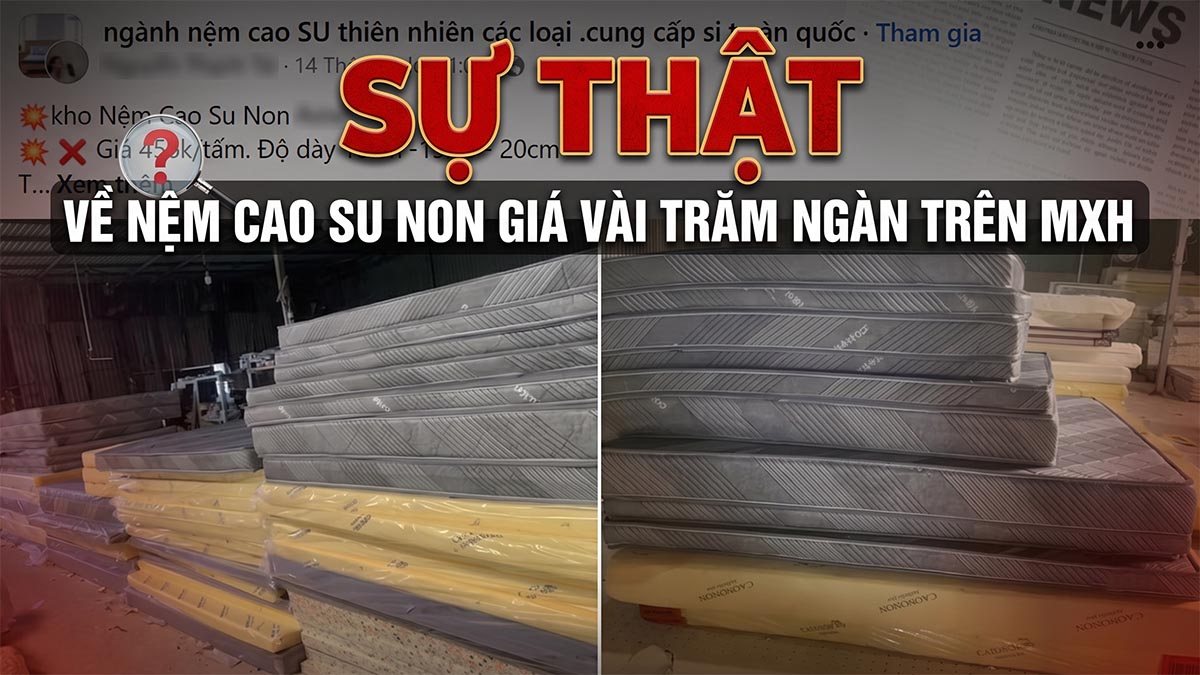 Sự Thật Nệm Cao Su Non Giá Rẻ Vài Trăm Ngàn Trên Mạng