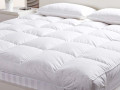 Tăng Cường Nệm Microfiber (Topper Lông Vũ)