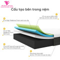 Nệm Foam Latex Thuần Việt Hybrid Plus 28cm