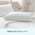 Ruột Gối Bông Gòn Cao Cấp Sutuco