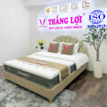 Nệm Lò Xo Túi Lisa Luxury Thắng Lợi