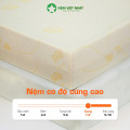 Nệm Foam Việt Nhật Latex Gold