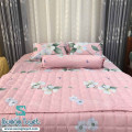 Bộ Chăn Ga Gối Cotton Hàn Quốc CHQ-055