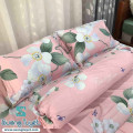 Bộ Chăn Ga Gối Cotton Hàn Quốc CHQ-055