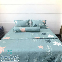 Bộ Chăn Ga Gối Cotton Hàn Quốc CHQ-060