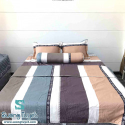 Bộ Chăn Ga Gối Cotton Hàn Quốc CHQ-072