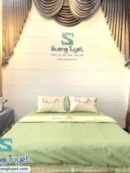 Bộ Chăn Ga Lụa Satin - DLS 003