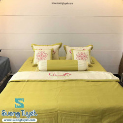 Bộ Chăn Ga Lụa Satin - DLS 002