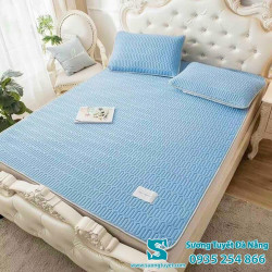 Chiếu Điều Hòa Cao Su Non - 016