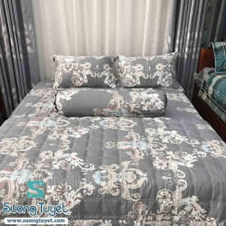 Bộ Chăn Ga Gối Cotton Hàn Quốc CHQ-082