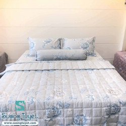 Bộ Chăn Ga Gối Cotton Hàn Quốc CHQ-095