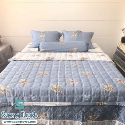 Bộ Drap Cotton Lụa - CL 011
